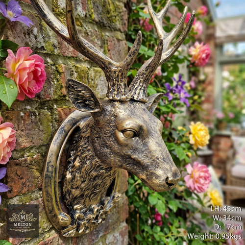 Wall mounted gold - wall, stag