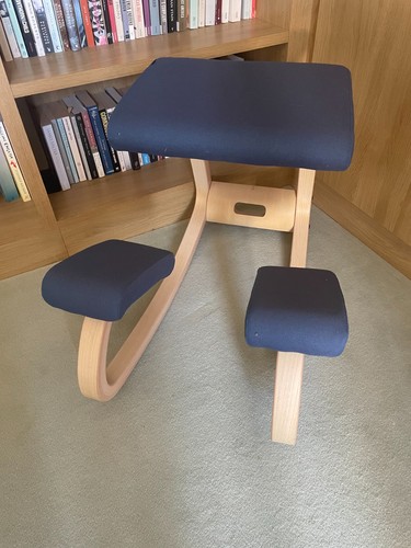 Scandinavian varier ergonomic - scandinavian,