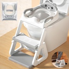 Potty Training Toddler Toilet