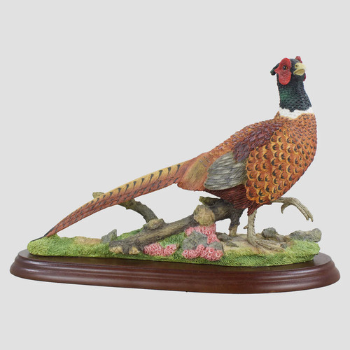 Pheasant walking border fine - pheasant,