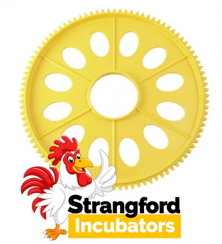Upgrade disk for - (12, egg)