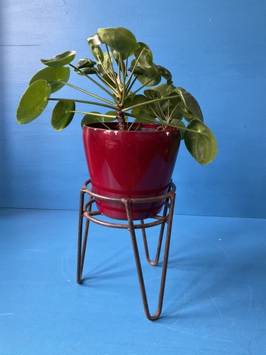 Vintage style metal rack - vintage,