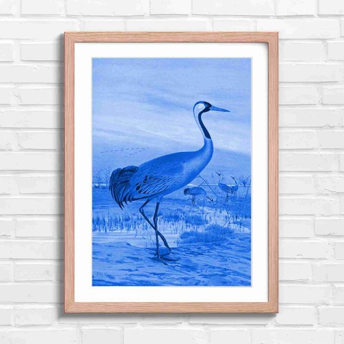 Elegant red crowned crane - red-crowned,