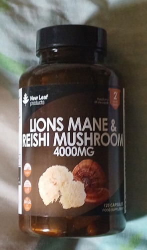 Lions mane capsules 4000mg - lions,