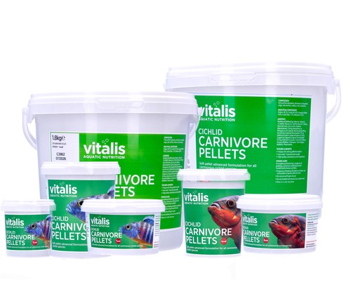 Vitalis cichlid carnivore - vitalis,