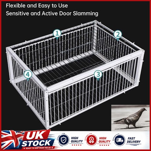 New pigeon trap cage - cage, single