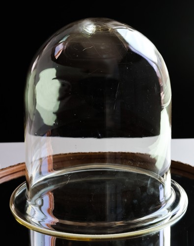 Vintage clear glass bell jar - vintage,