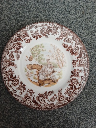 Spode woodland winter scenes - spode,