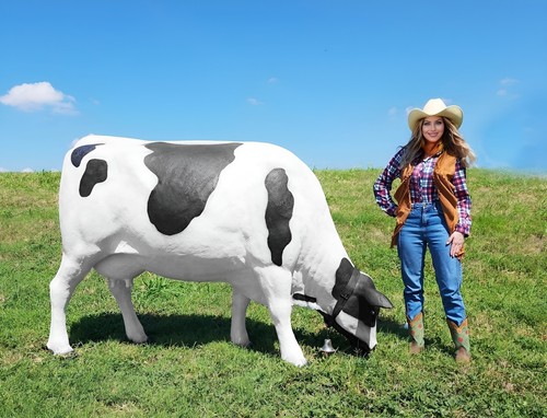 Cow grazing statue life size - cow,