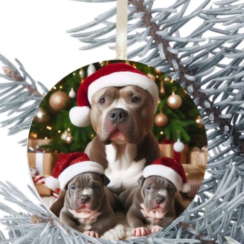 Staffordshire bull terrier - terrier, dog