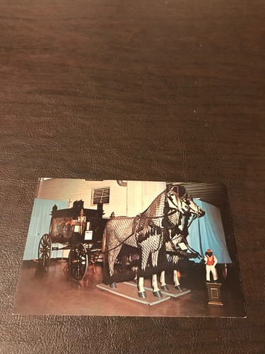 Unposted postcard horse - postcard,