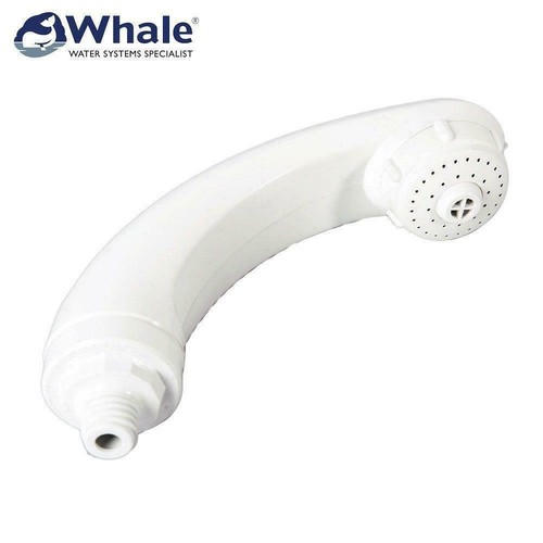 Whale caravan elegance - whale,
