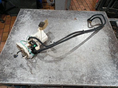 Genuine jaguar type - jaguar, x-type