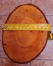 Lot 97,  WILD CHERRY  Logs  woodturning  blanks,carving,craft wood 5.1kg,