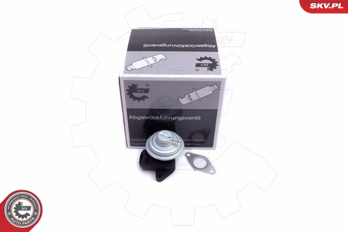 14skv205 esen skv - egr, valve