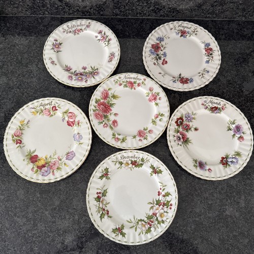 Royal albert flower the - albert,