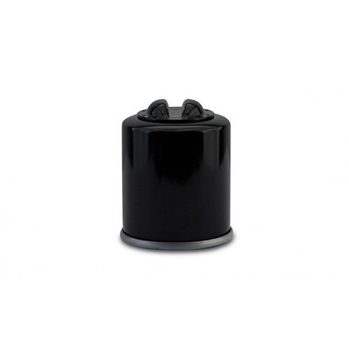 Oil filter fits malaguti - oil,