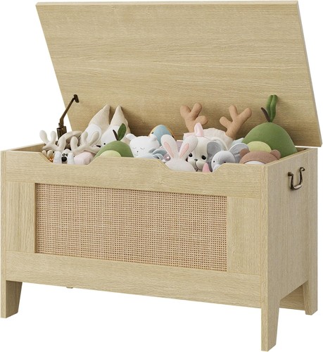 Storage chest rattan - chest,