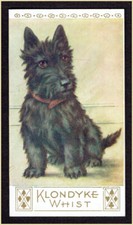 806 1920-80 Vintage Klondyke Single Whist Score Card Scotty Dog unused