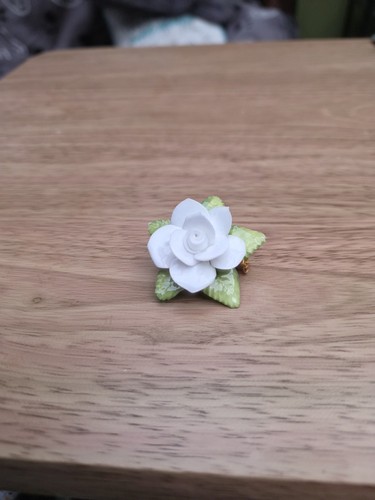 Bone chinawhite rose brooch - bone,