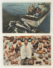 c 1940 FLORIDA FISHING Sea