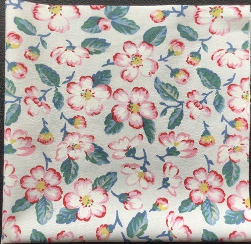 50cm square - x, cath