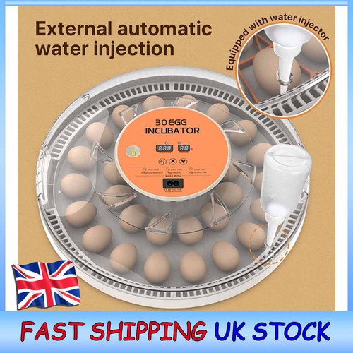 Intelligent egg incubator - intelligent,