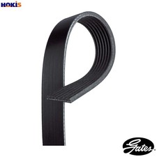 VRIBBED BELT 7PK1973 FOR