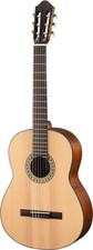 Walden N550ew Natura Electro Acoustic Guitar 4/4