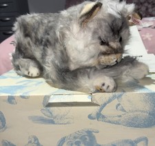 Steiff lizzy maine coon cat