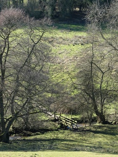 Photo footbridge over wash - a1,