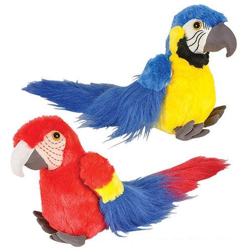 New macaw parrot - macaw,