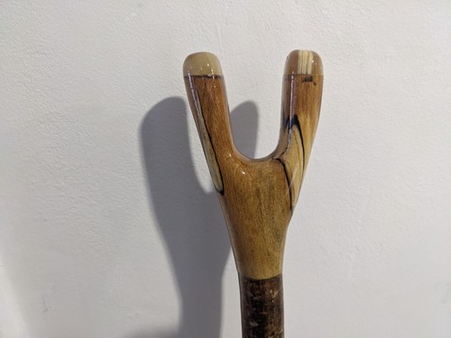 Walking stick thumb - , in
