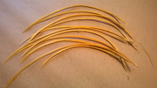 Cm long goose biot - 15, 25