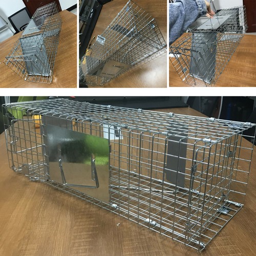 Humane squirrel trap heavy - trap,