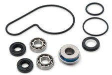AS3 WATER PUMP REPAIR KIT for