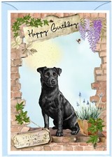 Patterdale Terrier Dog (4"x 6") Birthday Card with blank inside - by Starprint