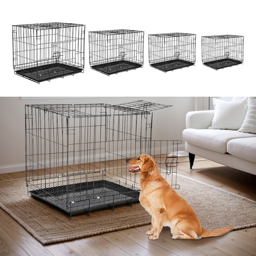 Dog cage puppy training - dog,