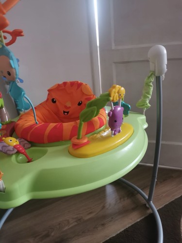 Fisher price baby bouncer - fisher-price,