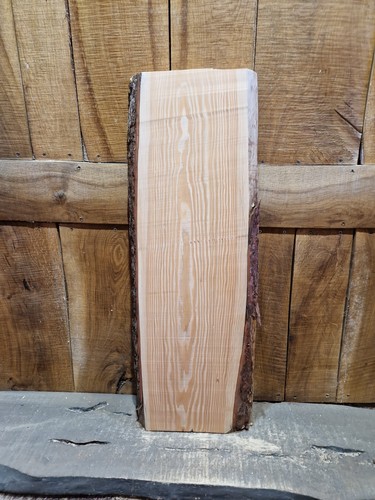 Larch slab wood live edge - slab,