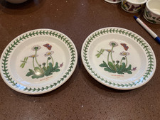 Portmeirion Botanic Garden