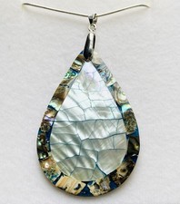 Stunning Natural Abalone Shell