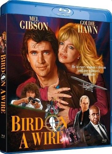 Bird wire - on, a