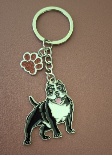 Staffordshire bull terrier - bull,