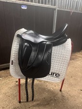 Albion Fabrento CC Dressage