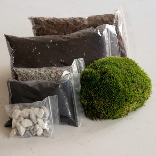 Terrarium substrate starter - terrarium,