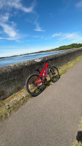 Mountain bike disc - mountain, brake