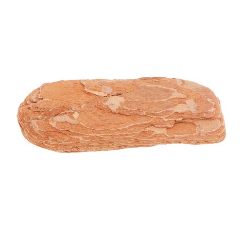 Reptile accessories snake - reptile,