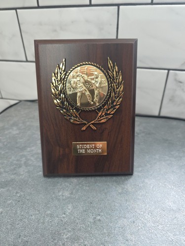 Martial arts student wooden - arts,