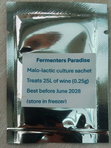 Malo lactic culture bacteria - malo,
